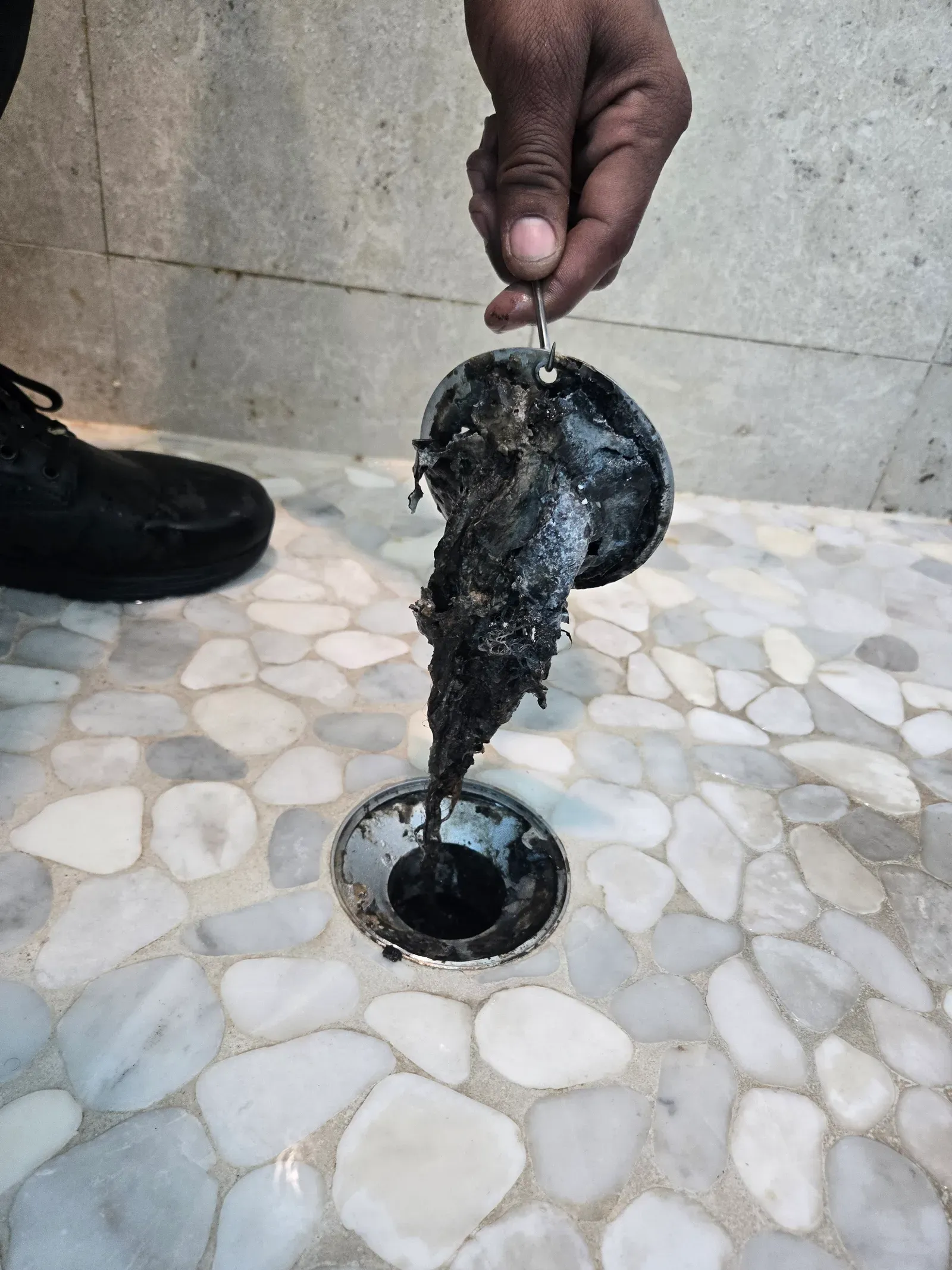 Technician pulling built-up debris from a shower drain on a white pebble stone shower floor